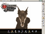 ScreenDesktopNew