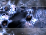 CocoonsInIce