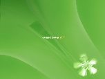 GreenFlowee Xp