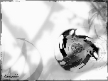 Linspire_TX